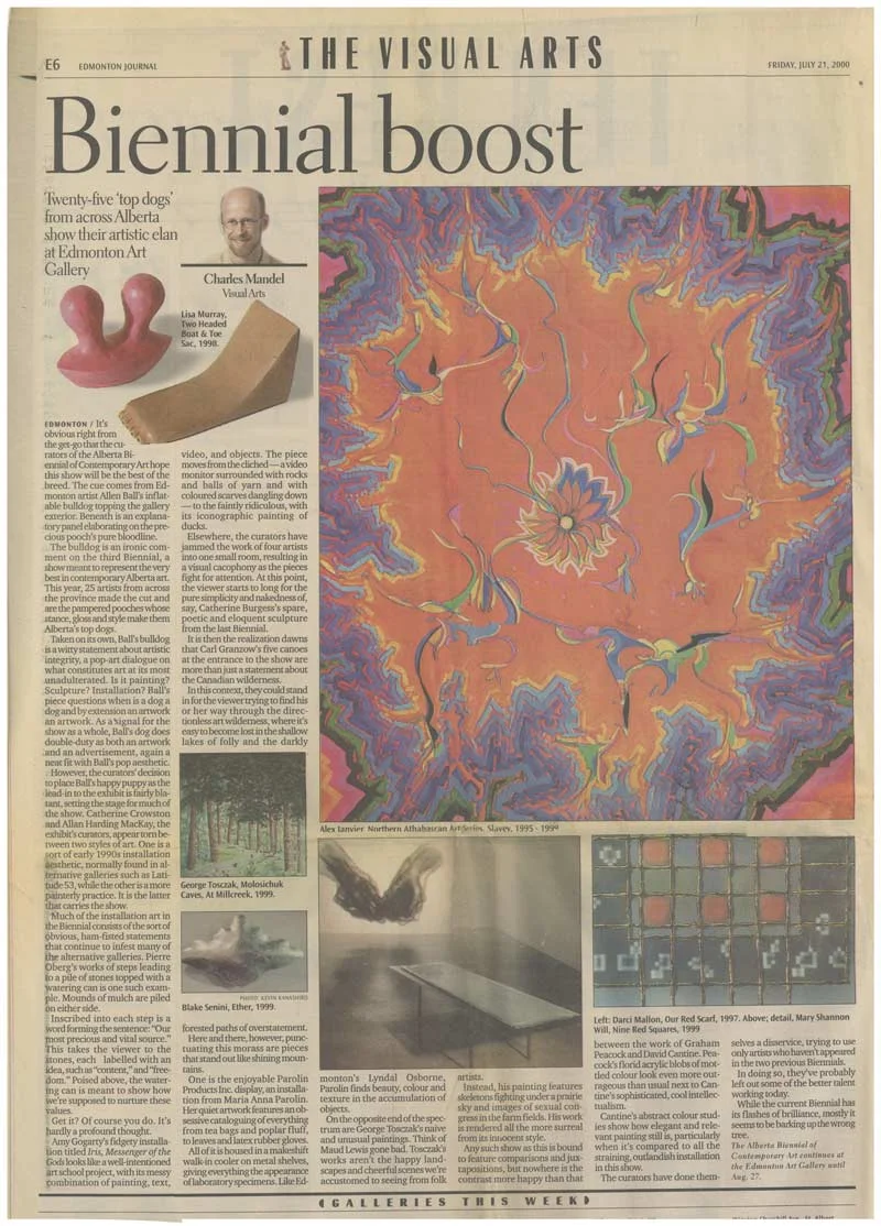 Biennial-Boost-article.jpg