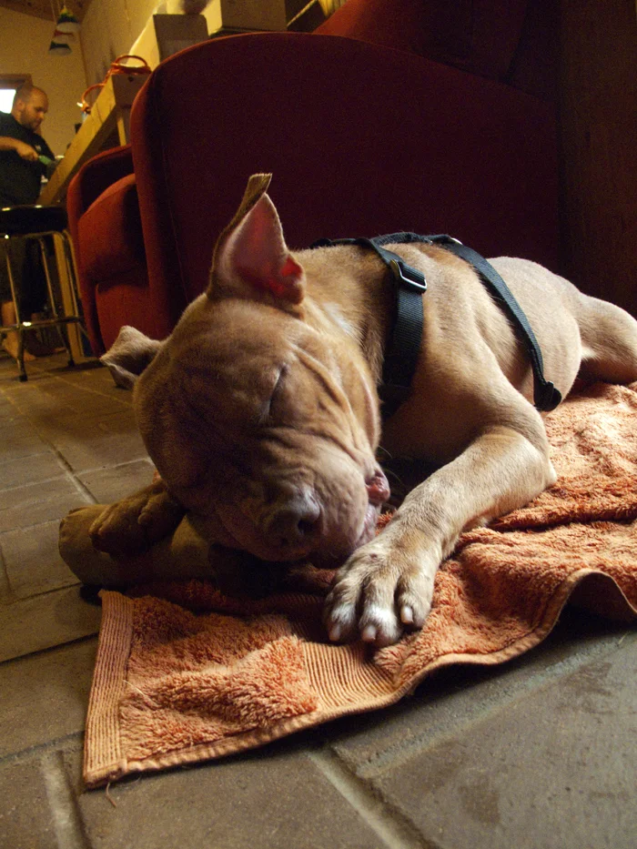 s_tuckered