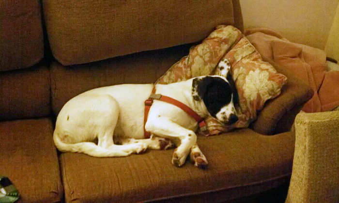 Sleepy