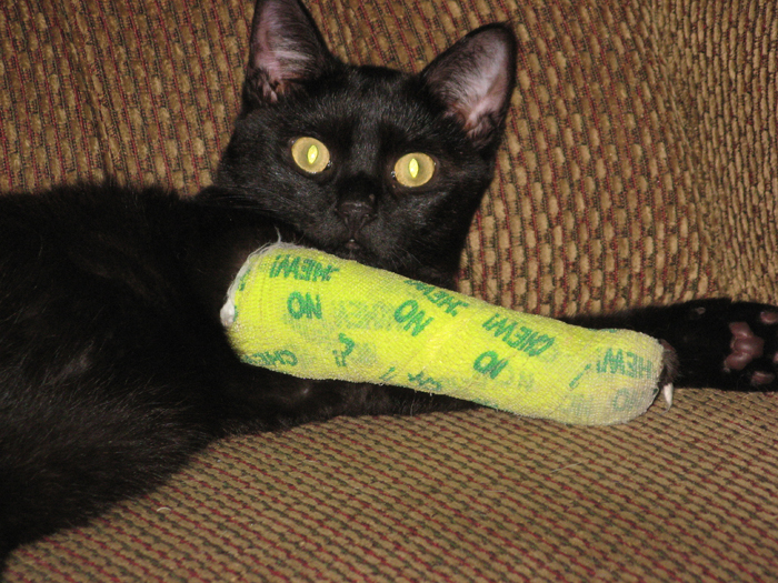 The big green leg