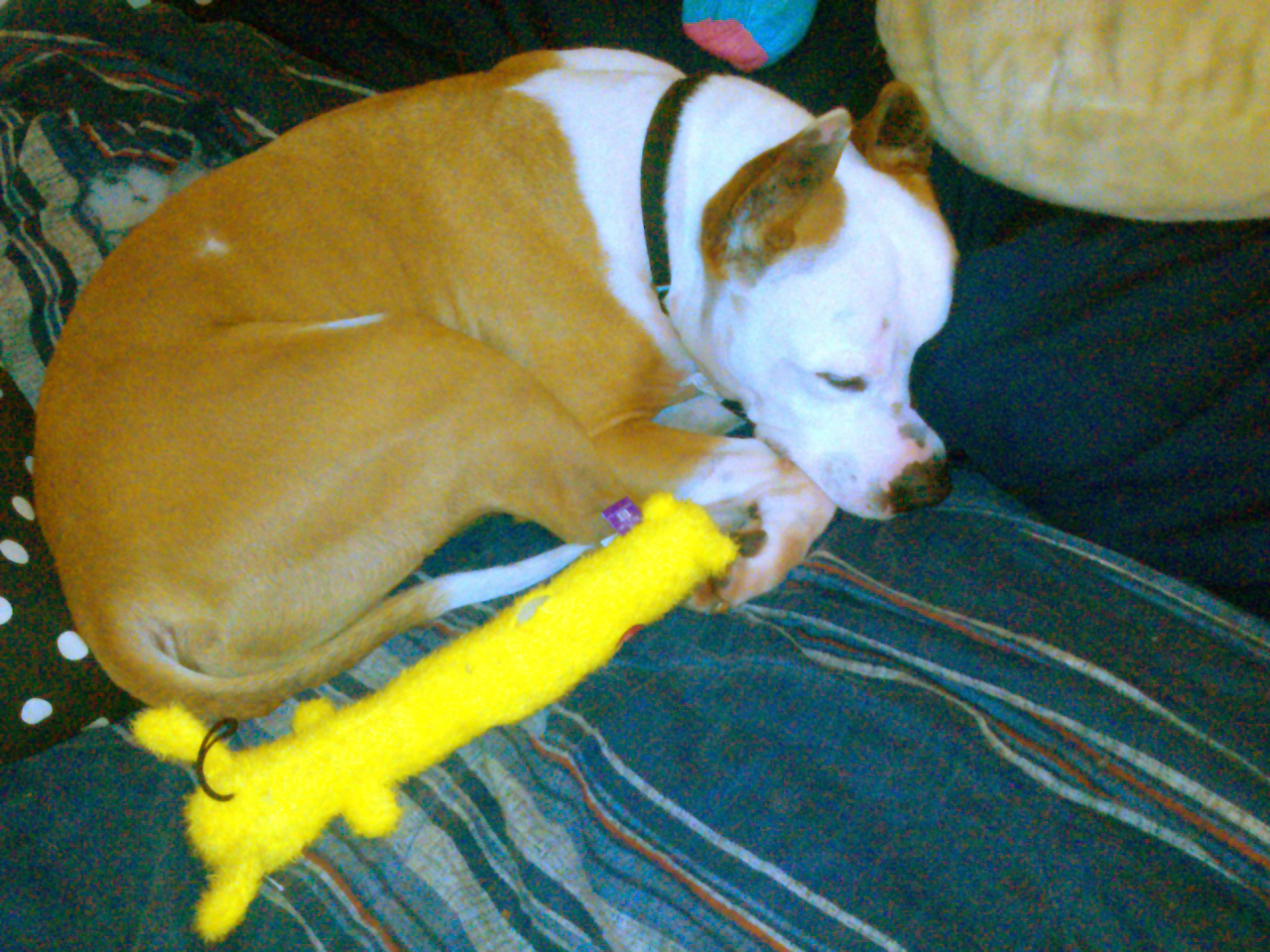 Radar relaxing at home