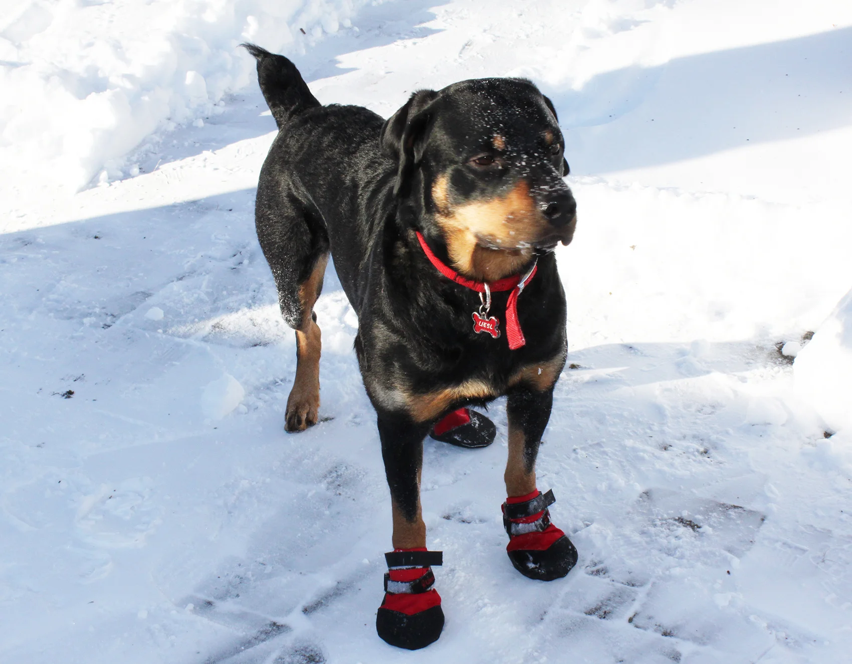  Liesl's Dad keeps her feet and heart warm!