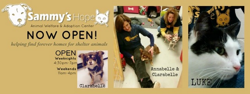 sammy's hope animal welfare & adoption center