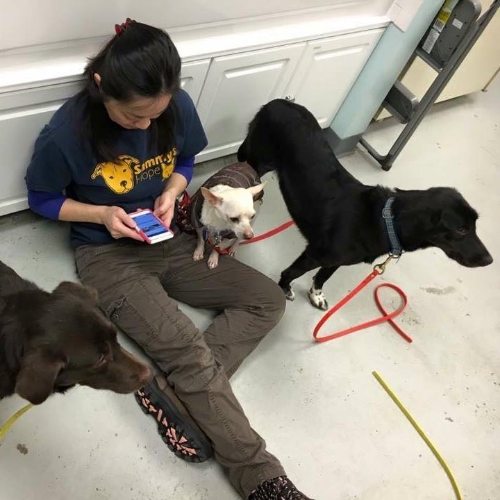 Judy with 3 of our ASPCA graduates