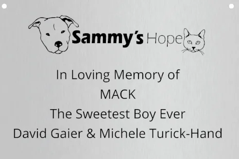 NOTE: This 4" x 6" Plaque is made of a high quality silver finish over acrylic with custom engraving.