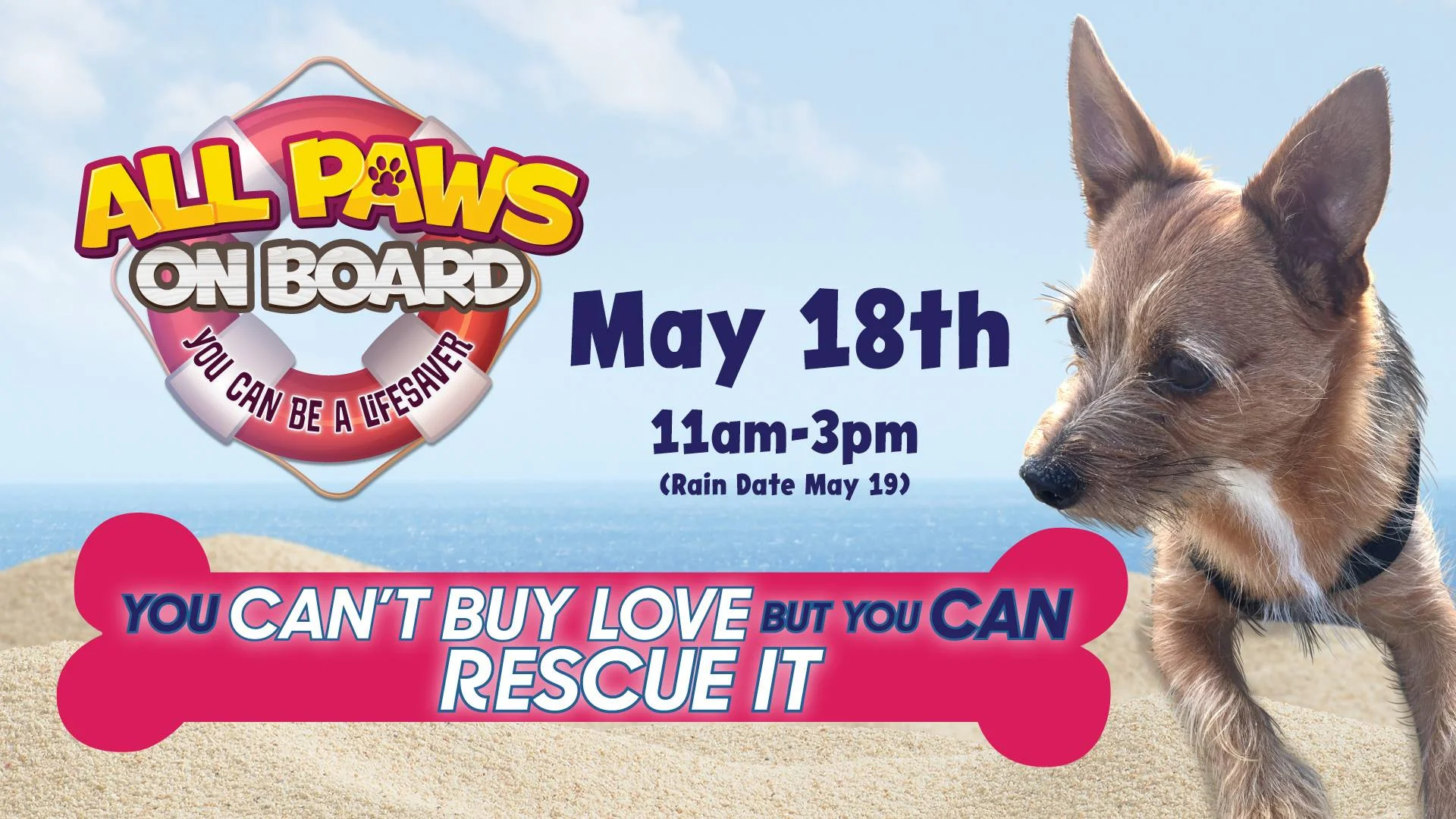 allpaws2019.jpg