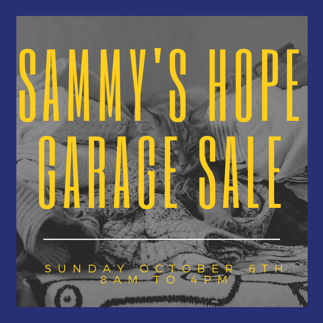 sammy's hope must go.png