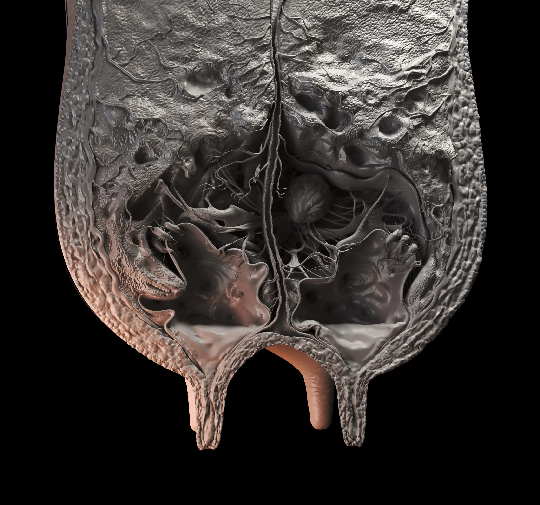 CLAY_BADER_ZOETIS_REV03_UberoAberto.jpg