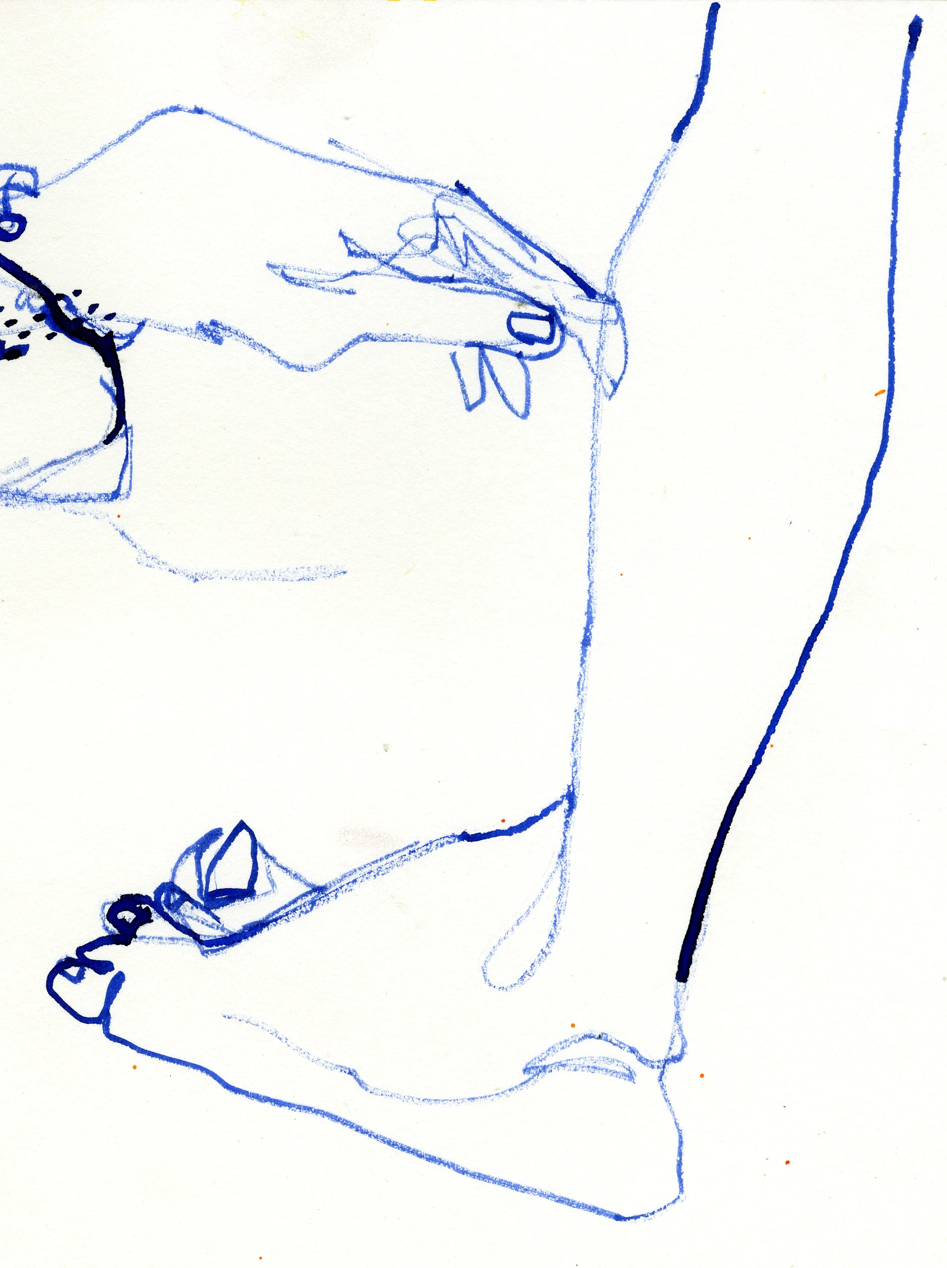 CLarsson_Work013a.jpg