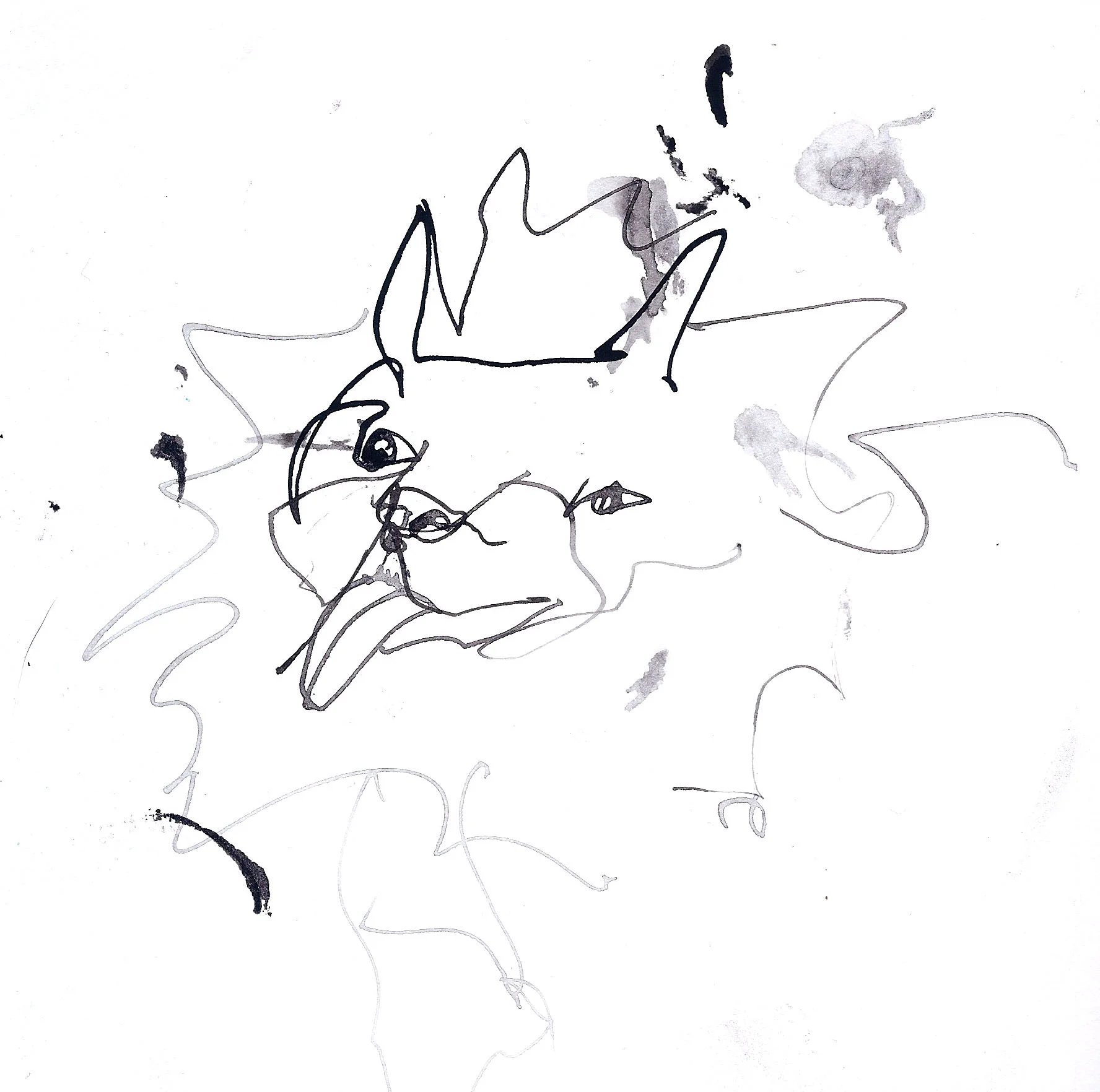 FortGreene_6714_Dog 2.jpg