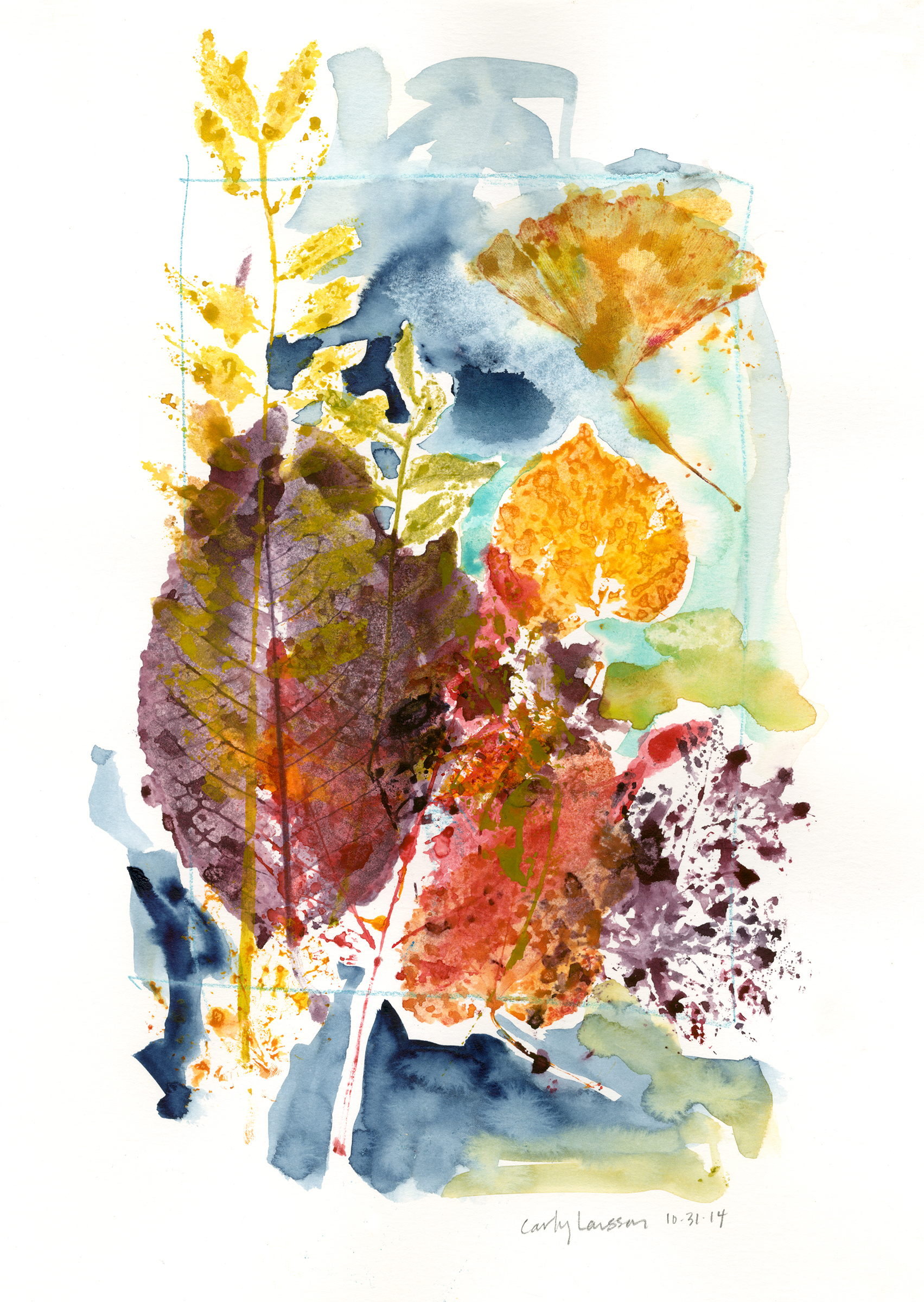 Honeylocust, sugar maple, American linden, and ginko biloba leaves. Watercolor on Canson 150lb illustration paper. © Carly Larsson 2014.