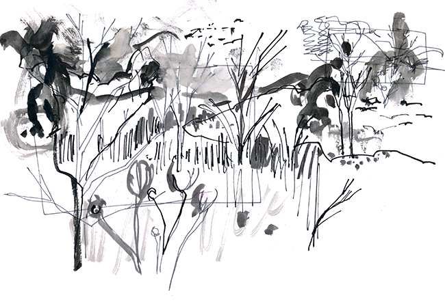 Landscape in the Berkshires © Carly Larsson 2015