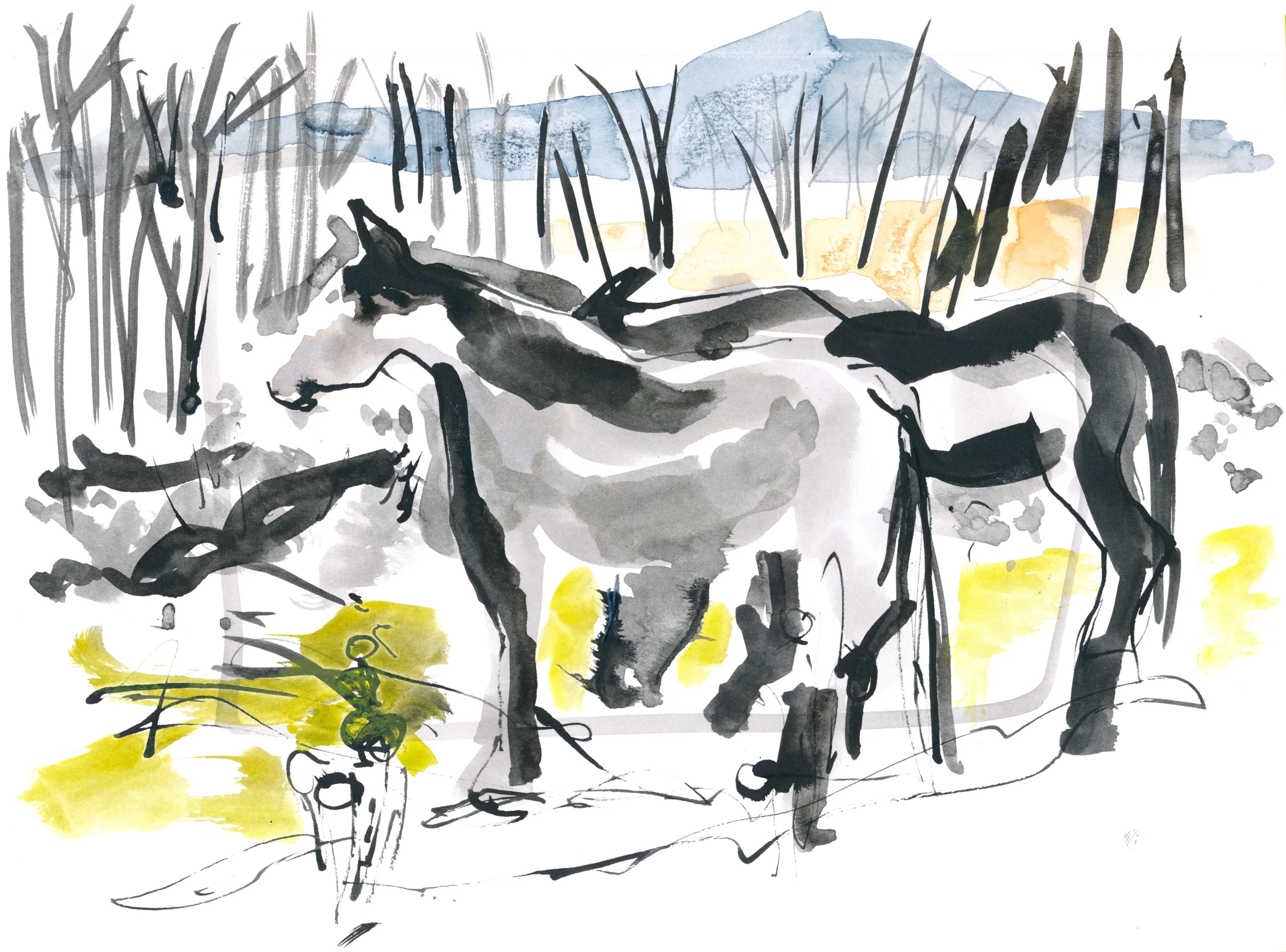 Horses huddling for warmth © Carly Larsson 2015