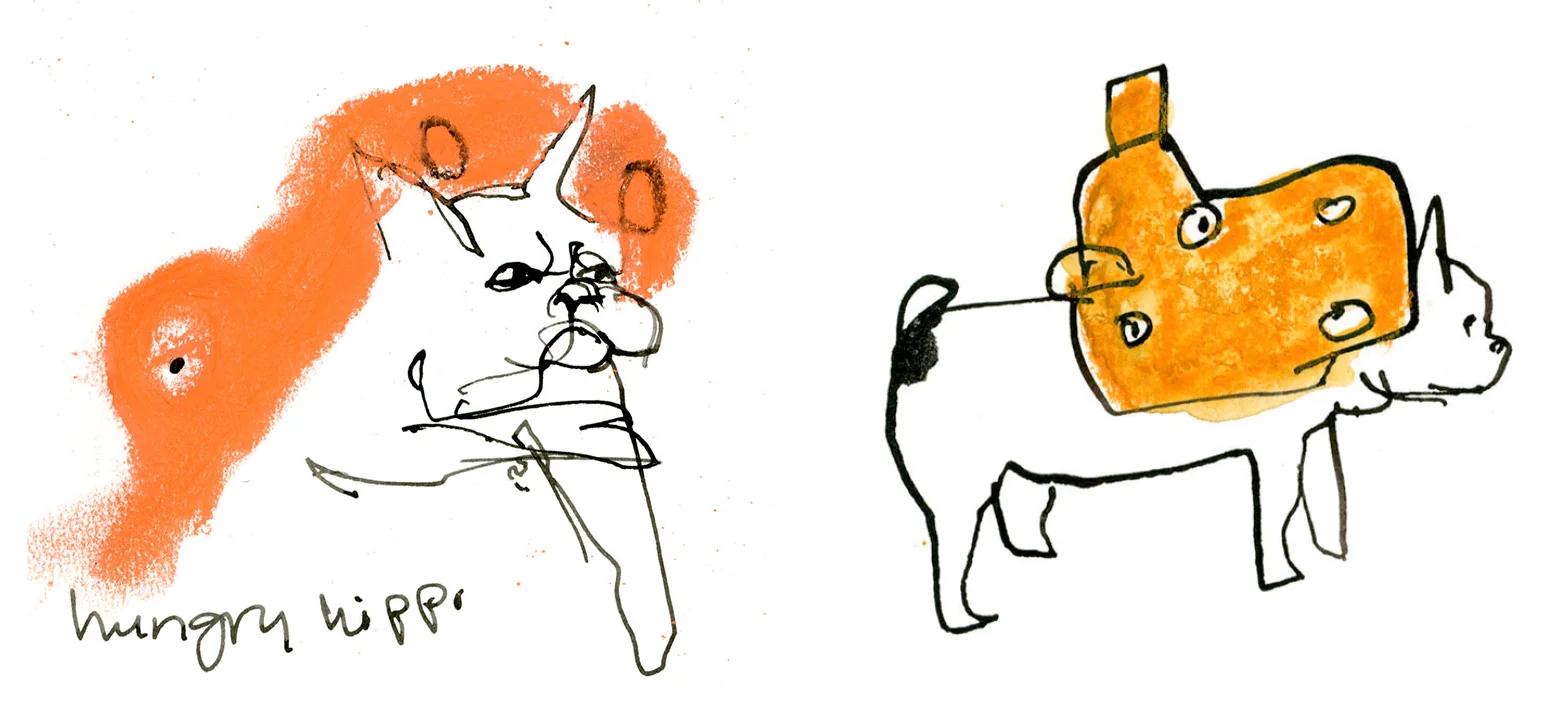 Hungry Hippo.jpg