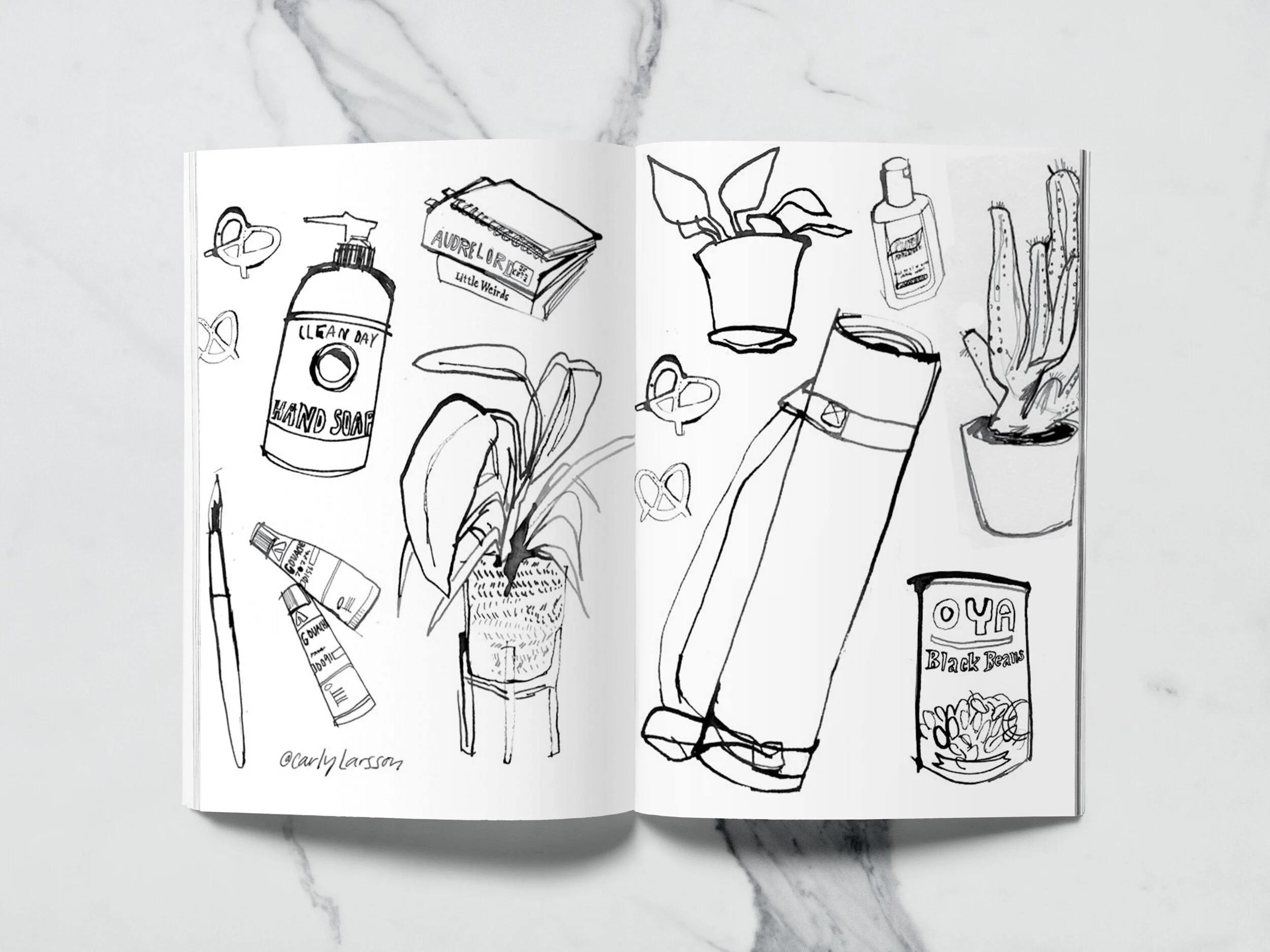 Download Quarantine Coloring Book Carly Larsson