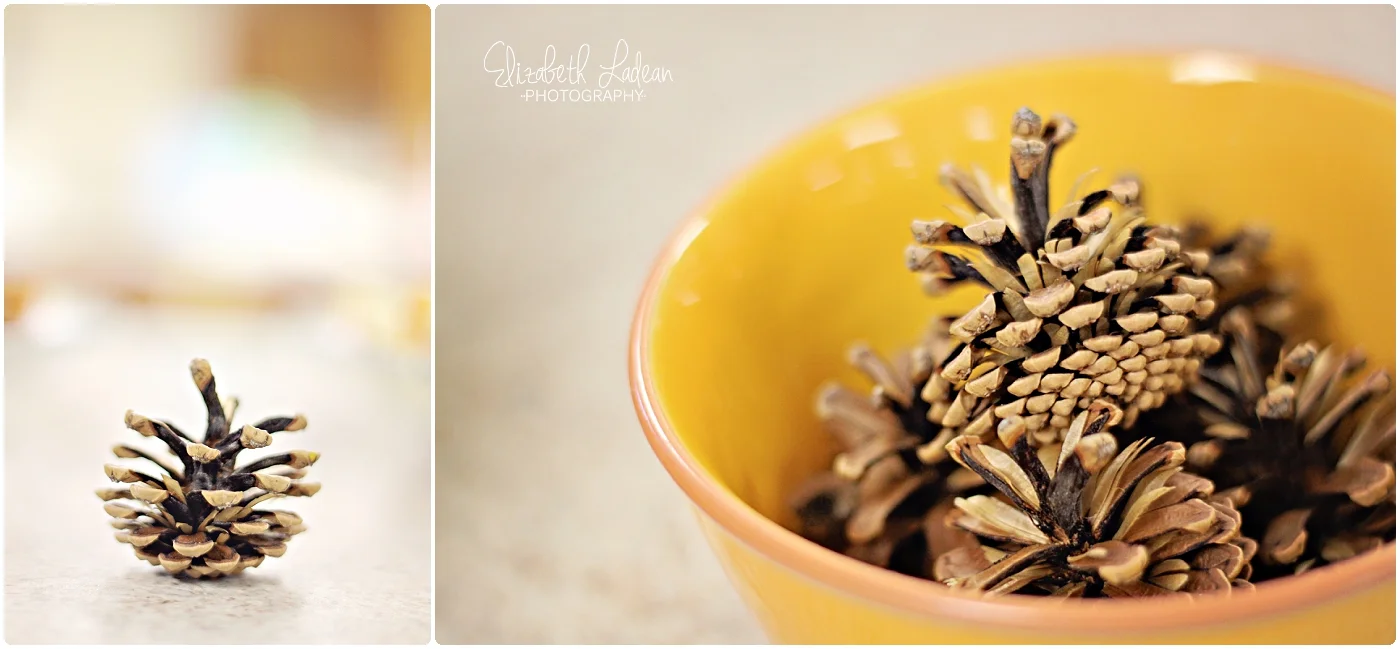 Kansas City Family Photography - Elizabeth Ladean Photography_0166.jpg