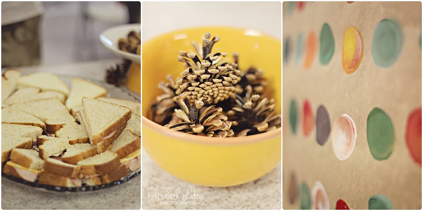 Kansas City Family Photography - Elizabeth Ladean Photography_0166.jpg