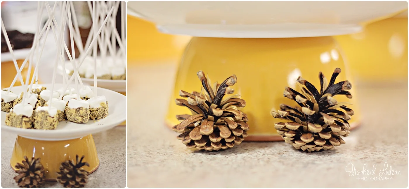 Kansas City Family Photography - Elizabeth Ladean Photography_0166.jpg