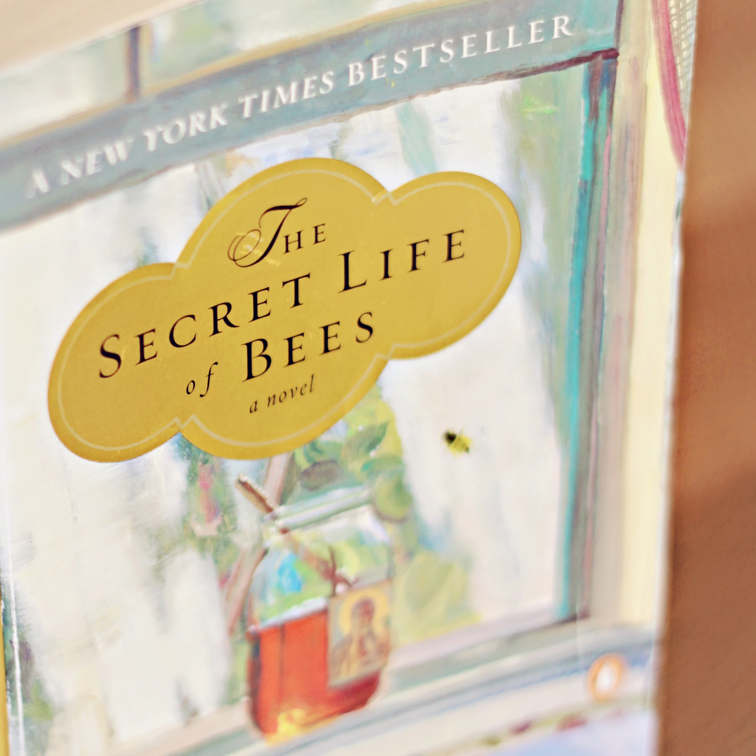 The Secret Life of Bees | book nook 