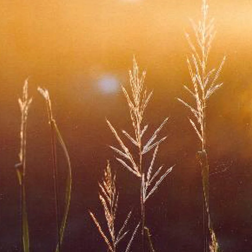 2014 | A Year in Review