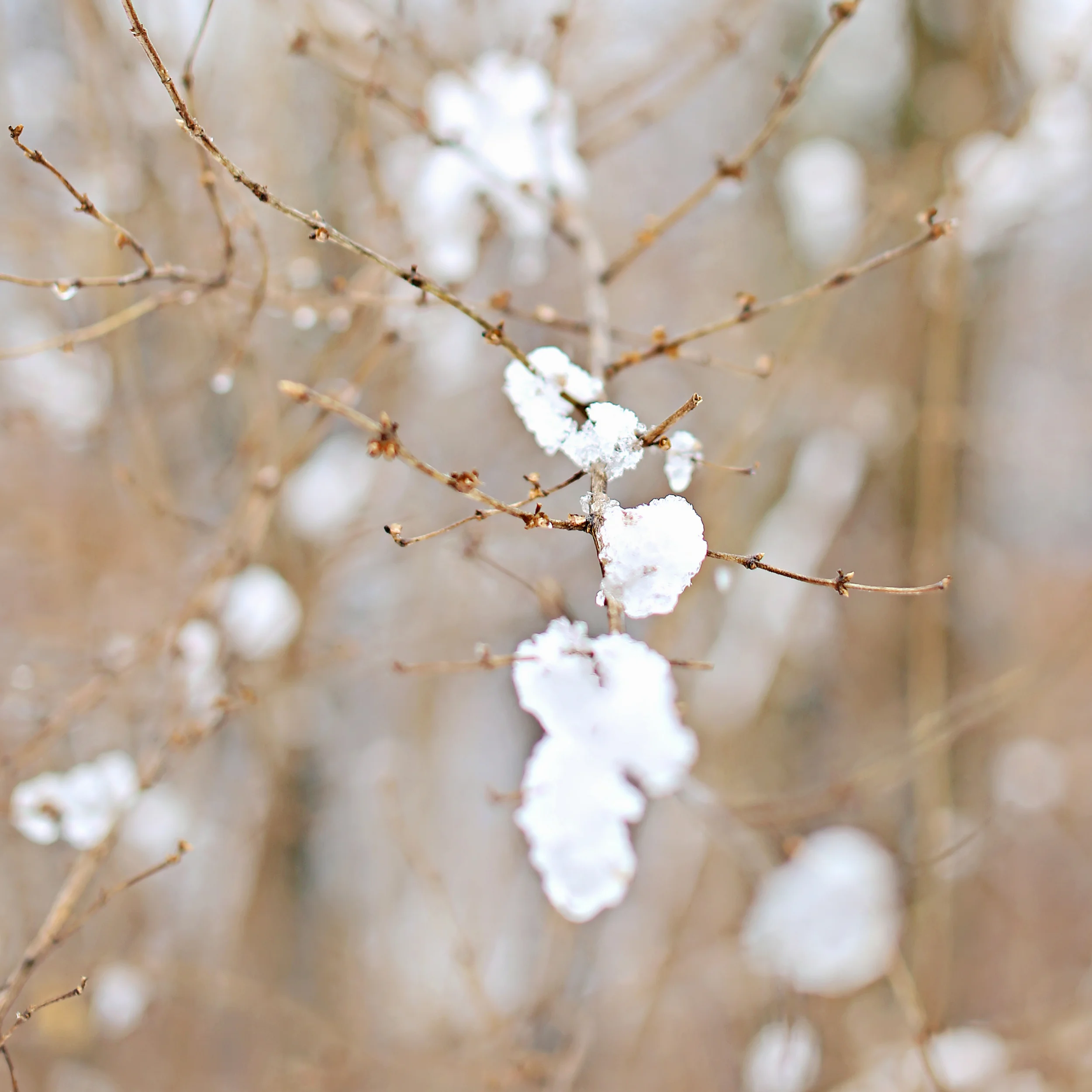 the rough side of the wait