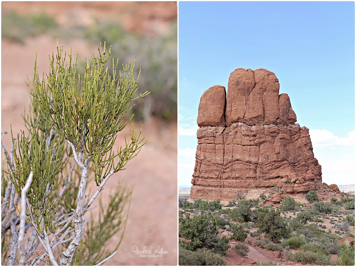 Arches National Park_B&Wtravel_1643.jpg