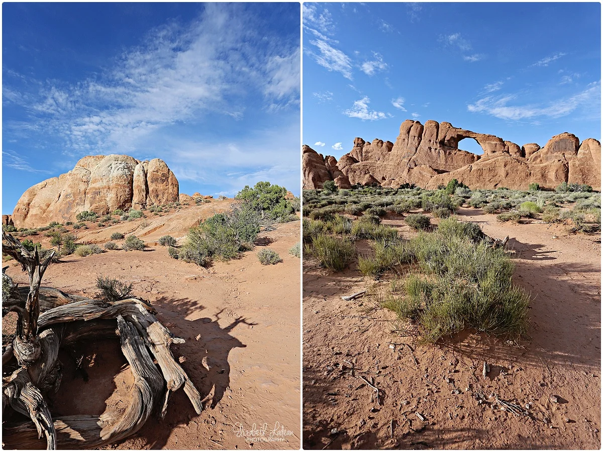 Arches National Park_B&Wtravel_1660.jpg