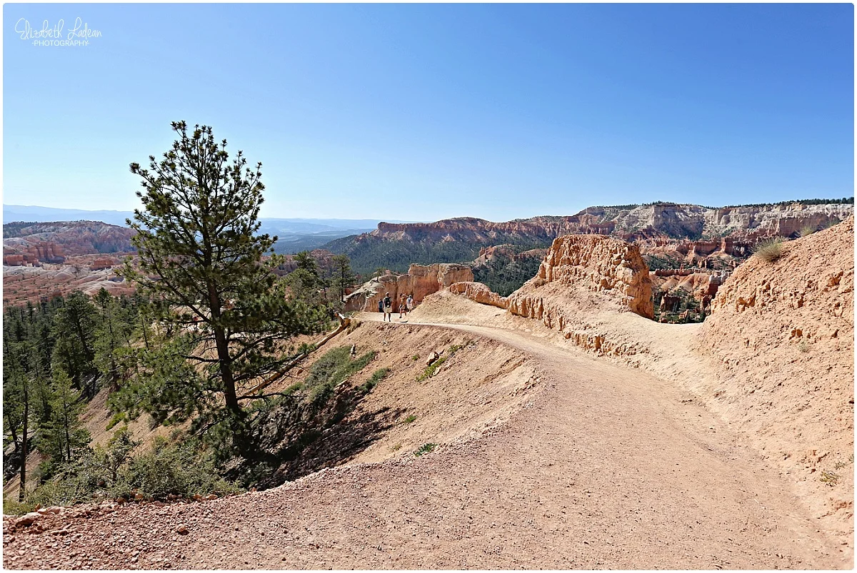 Bryce Canyon National Park_B&Wtravel_1682.jpg