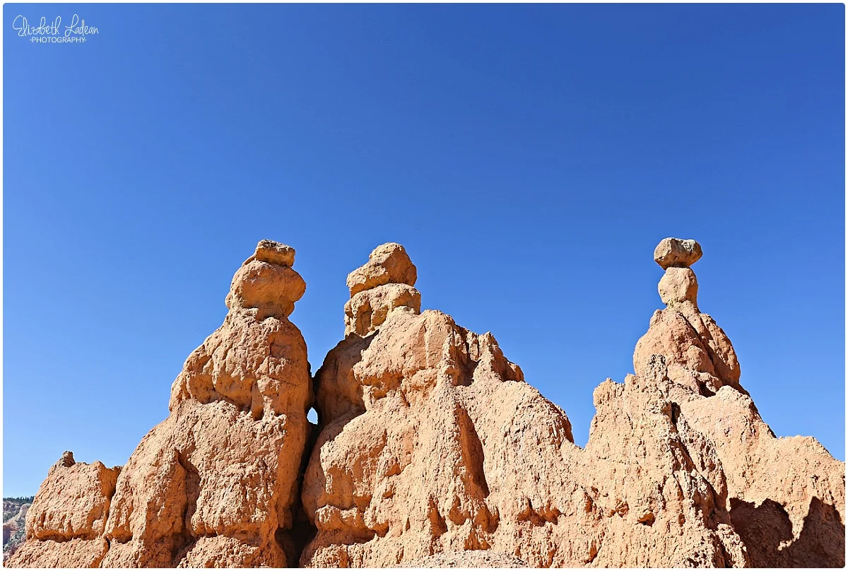Bryce Canyon National Park_B&Wtravel_1684.jpg