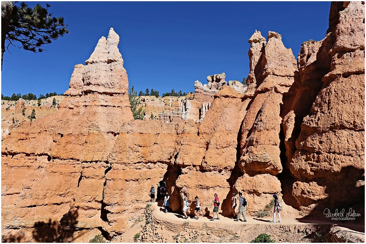 Bryce Canyon National Park_B&Wtravel_1685.jpg