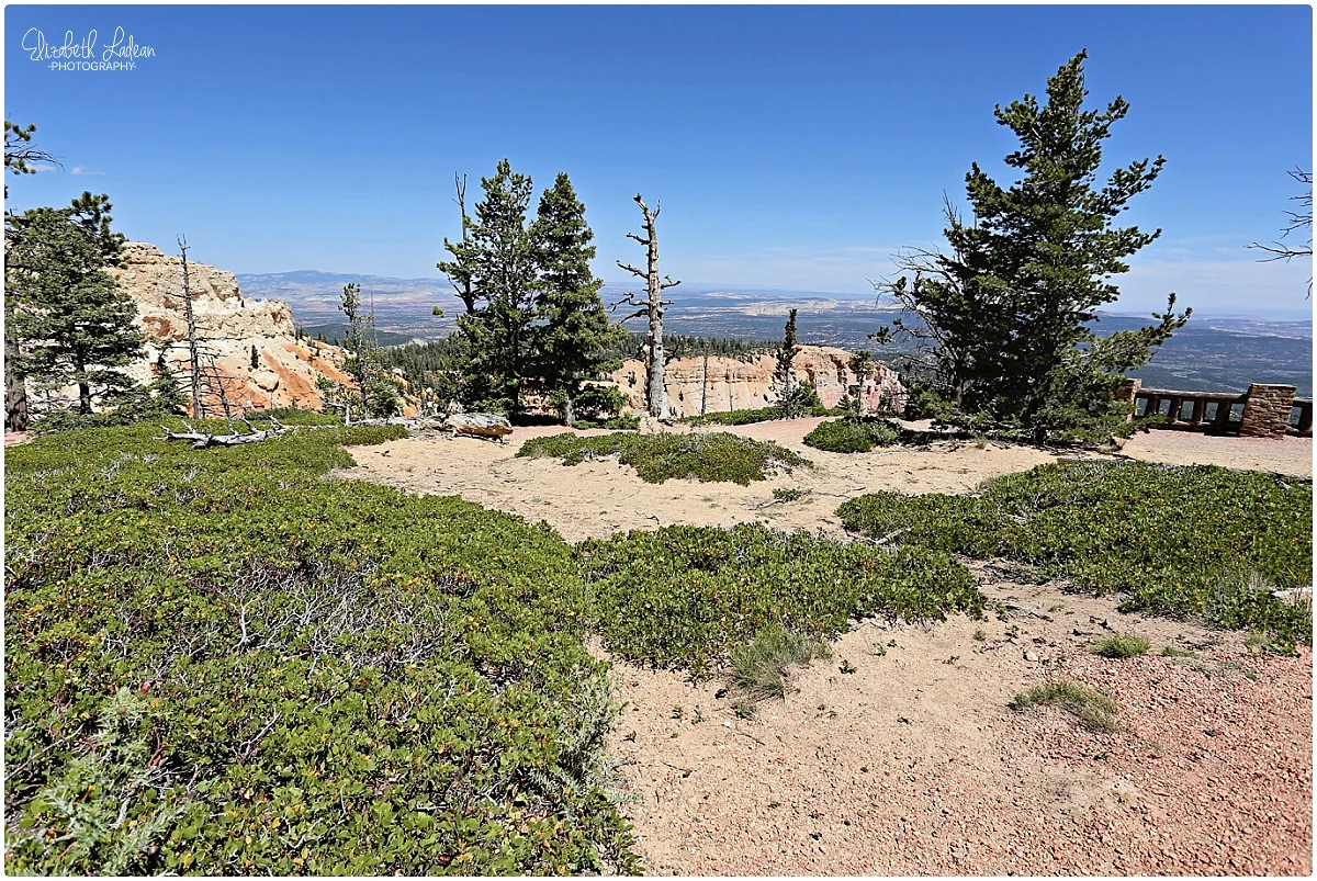 Bryce Canyon National Park_B&Wtravel_1698.jpg
