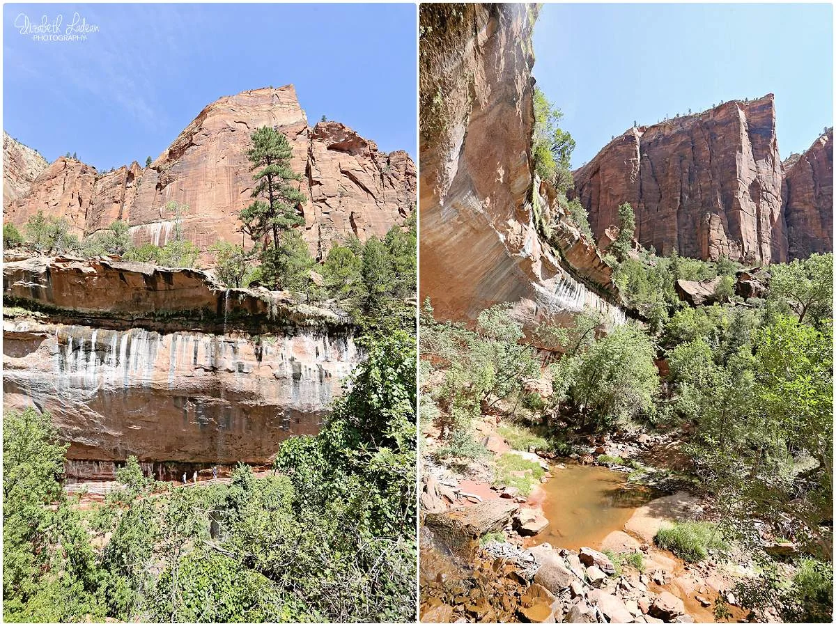 Zion National Park_B&Wtravel_1721.jpg