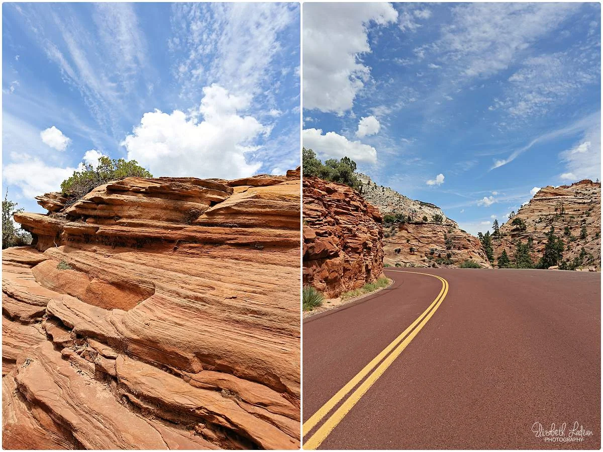 Zion National Park_B&Wtravel_1724.jpg