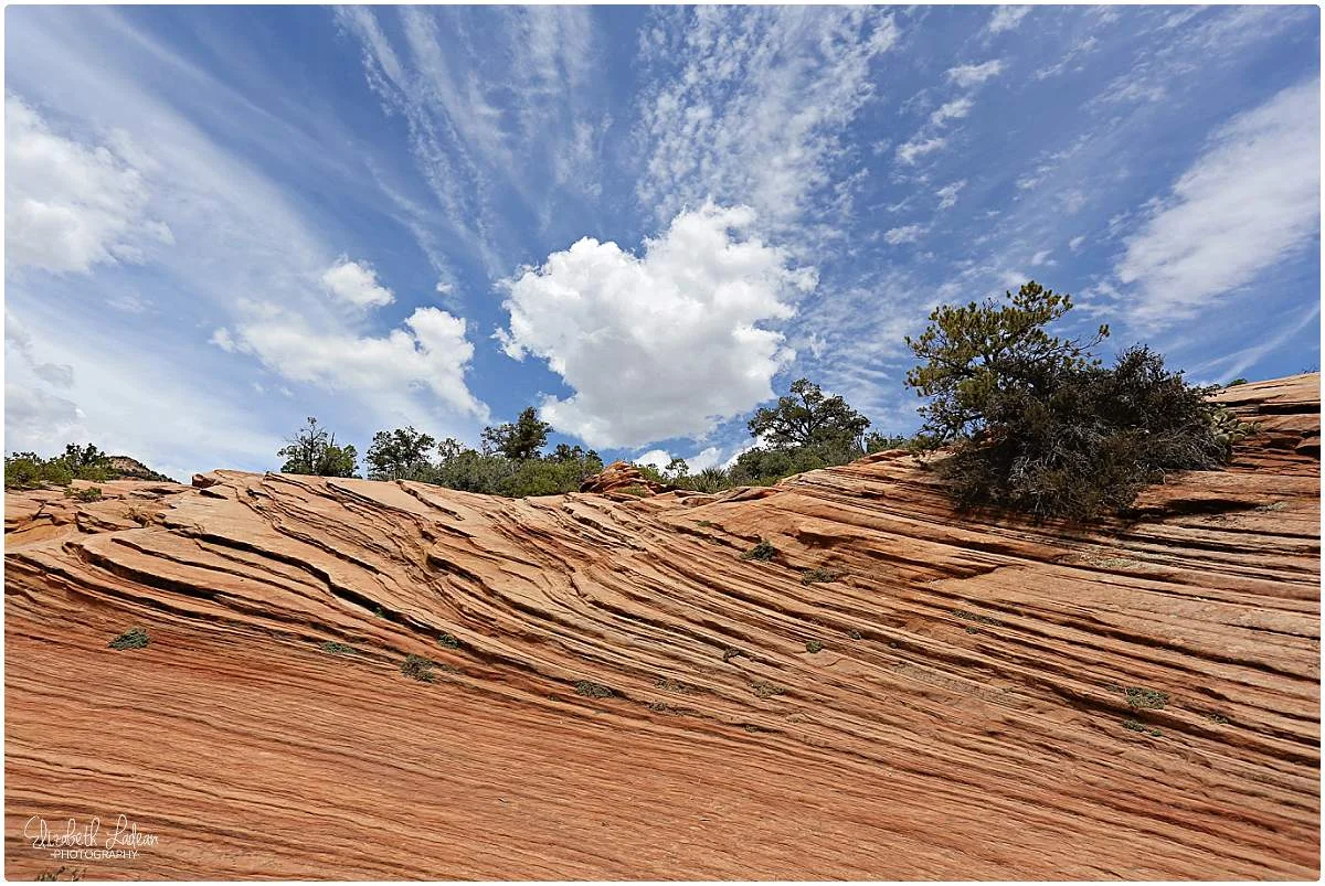 Zion National Park_B&Wtravel_1723.jpg
