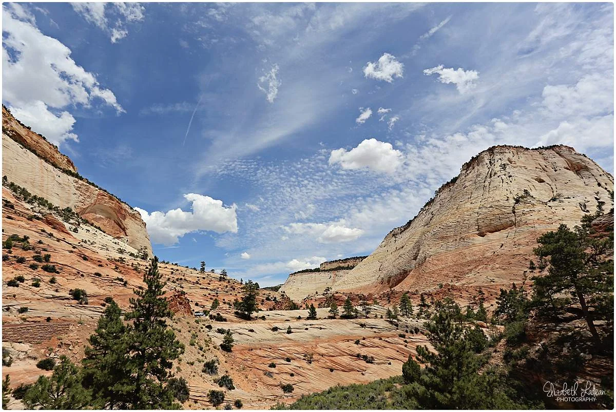 Zion National Park_B&Wtravel_1728.jpg