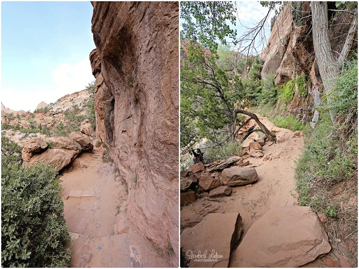 Zion National Park_B&Wtravel_1736.jpg