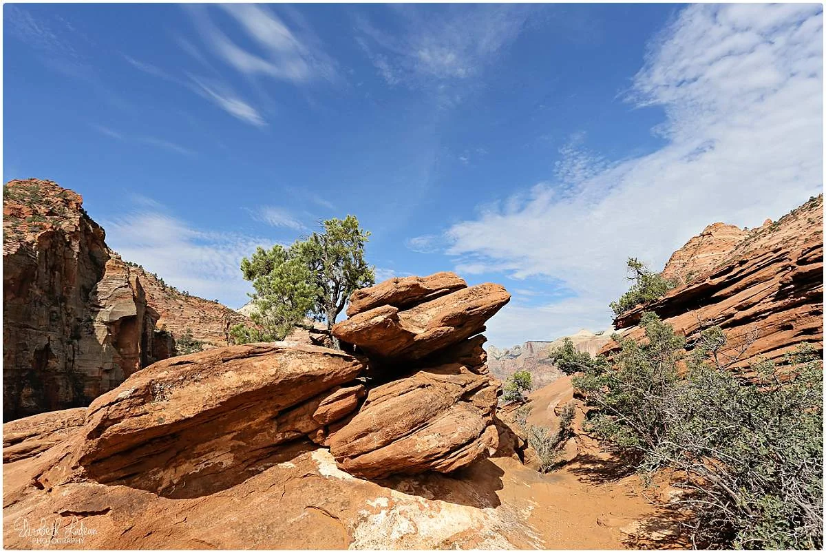 Zion National Park_B&Wtravel_1746.jpg