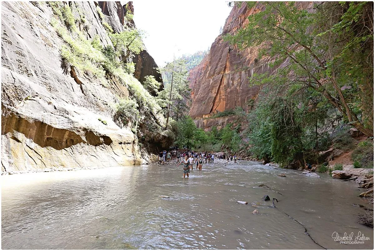 Zion National Park_B&Wtravel_1757.jpg