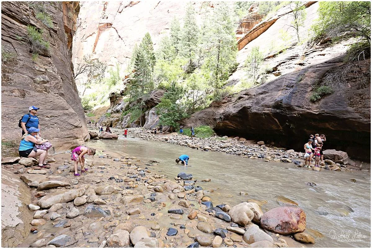 Zion National Park_B&Wtravel_1756.jpg