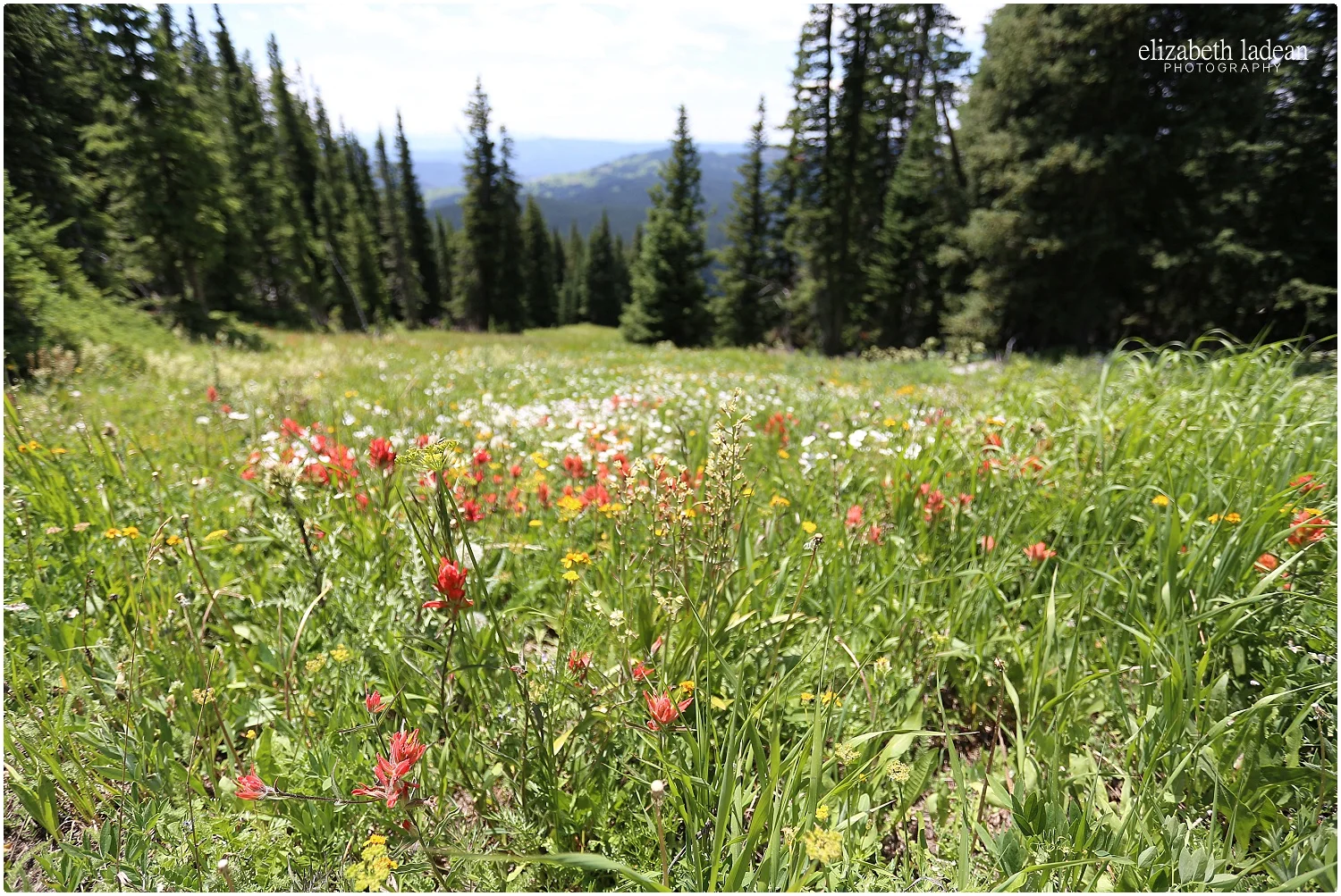 Colorado-Silverthorne-ElizabethLadeanPhotography--_6038.jpg