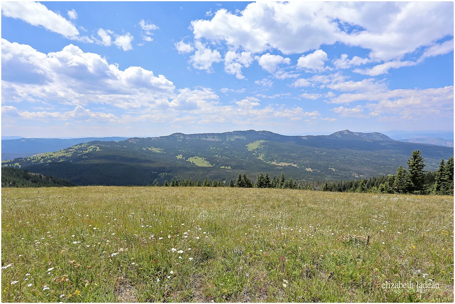 Colorado-Silverthorne-ElizabethLadeanPhotography--_6042.jpg
