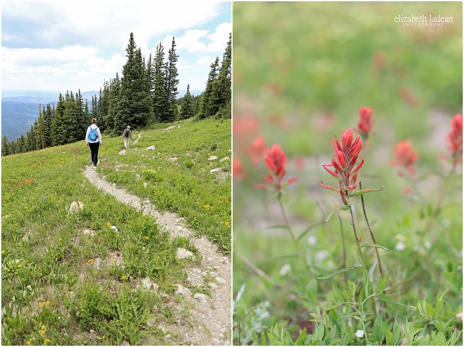 Colorado-Silverthorne-ElizabethLadeanPhotography--_6049.jpg