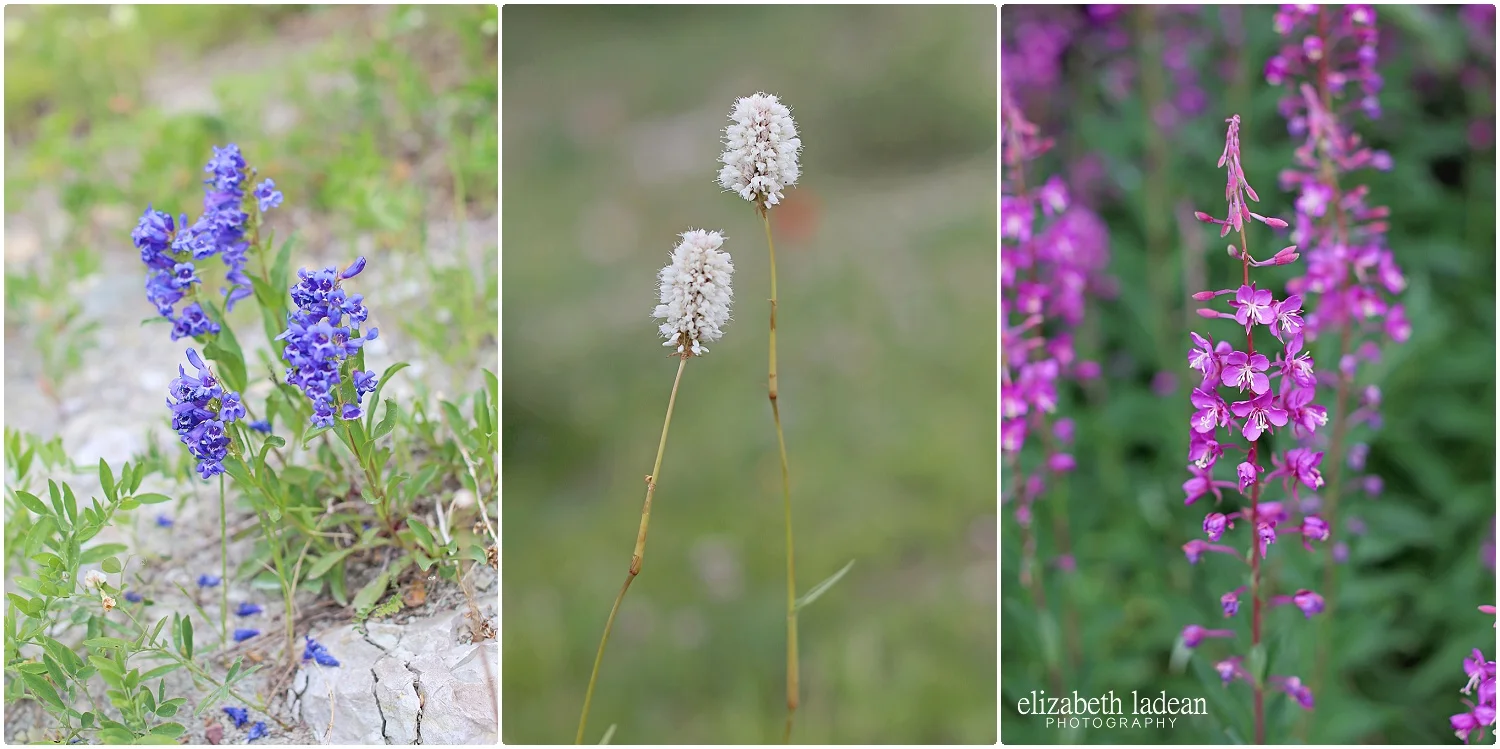 Colorado-Silverthorne-ElizabethLadeanPhotography--_6051.jpg