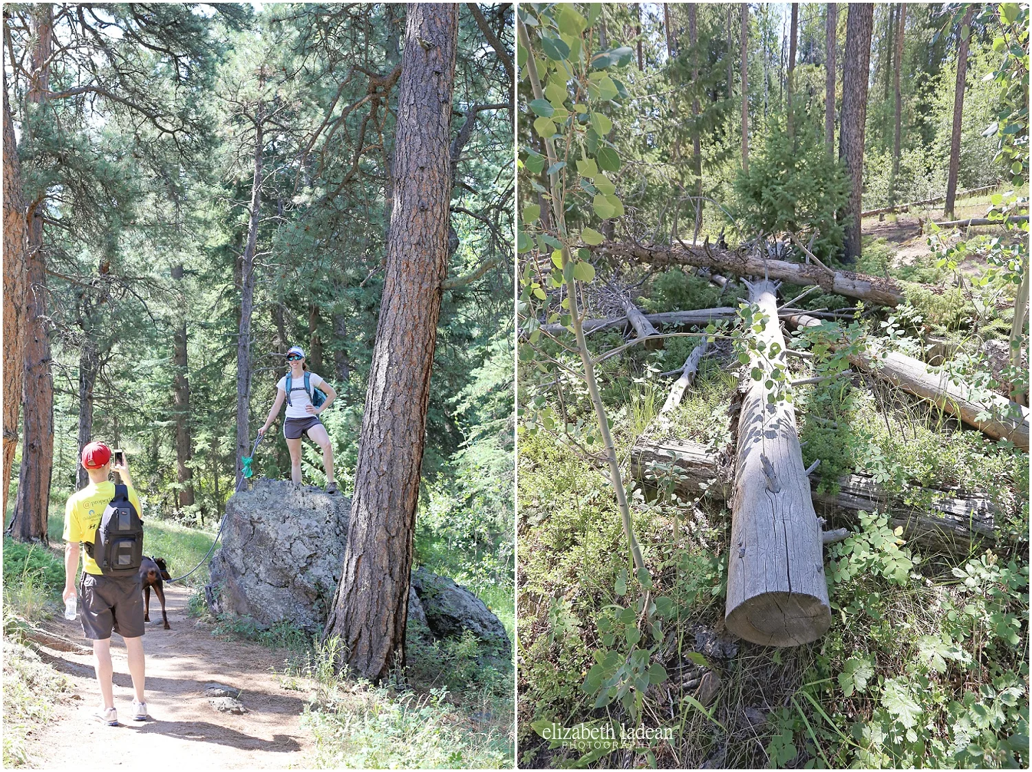 Colorado-Conifer+Evergreen-ElizabethLadeanPhotography--_6069.jpg