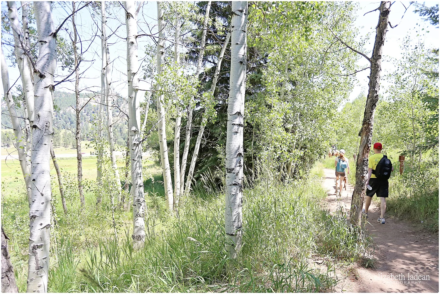 Colorado-Conifer+Evergreen-ElizabethLadeanPhotography--_6072.jpg