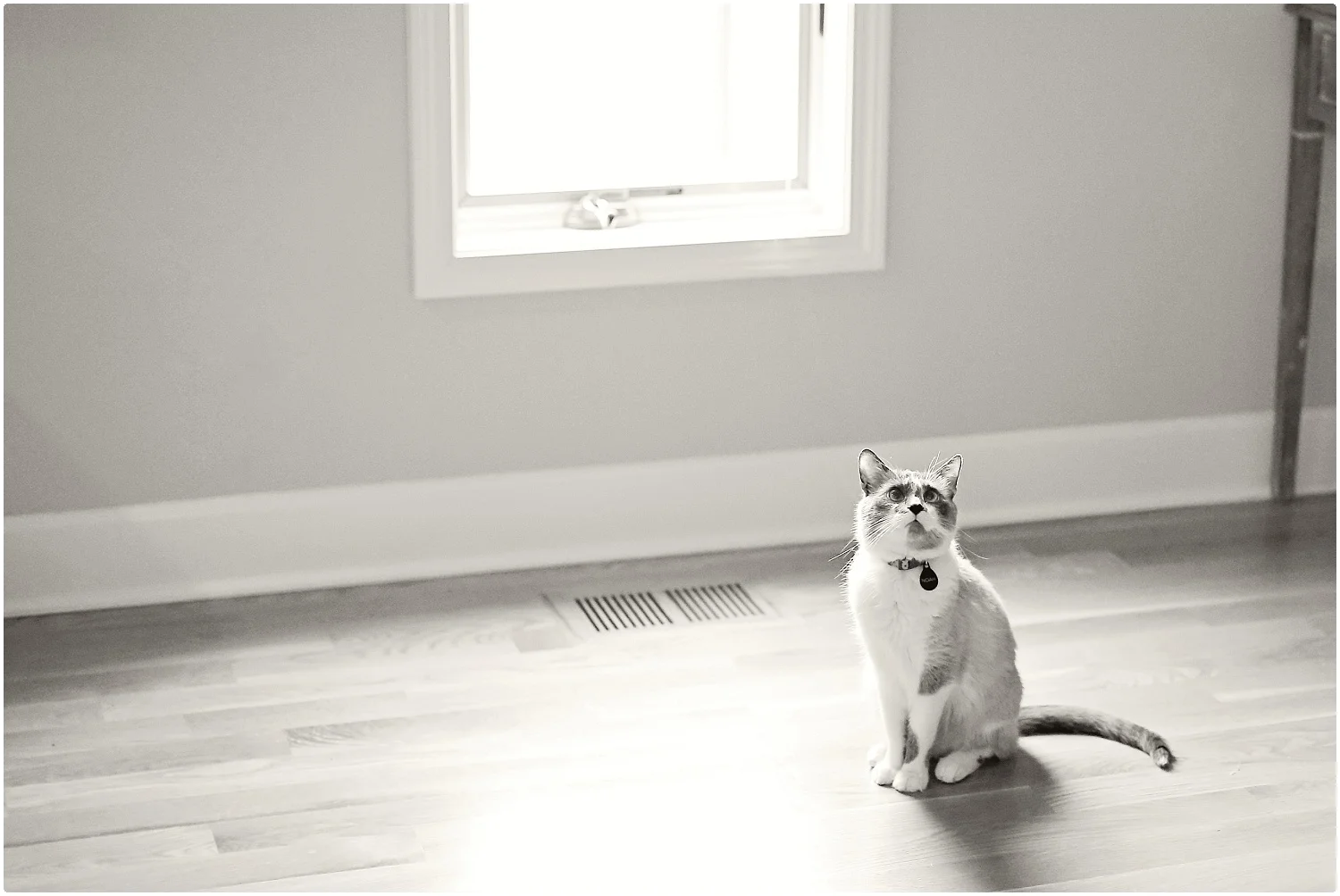 Noah-Cat-Lover-ELP-photo_6409.jpg