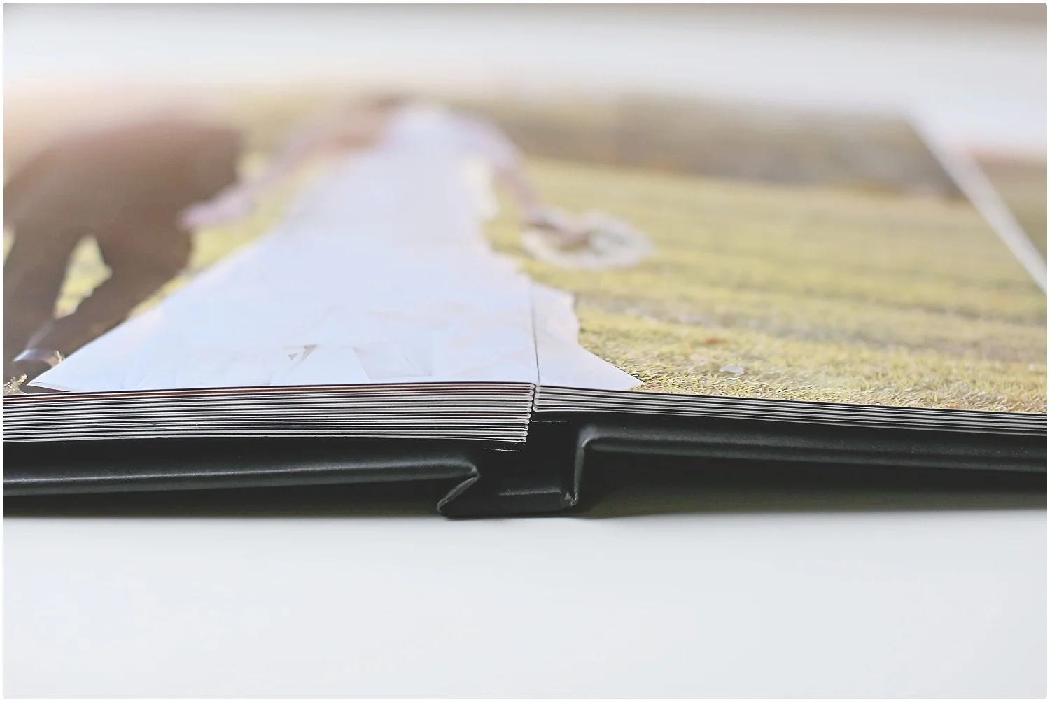 Wedding-Photographer-Wedding-Albums-0217-Elizabeth-Ladean-Photography-photo_7841.jpg