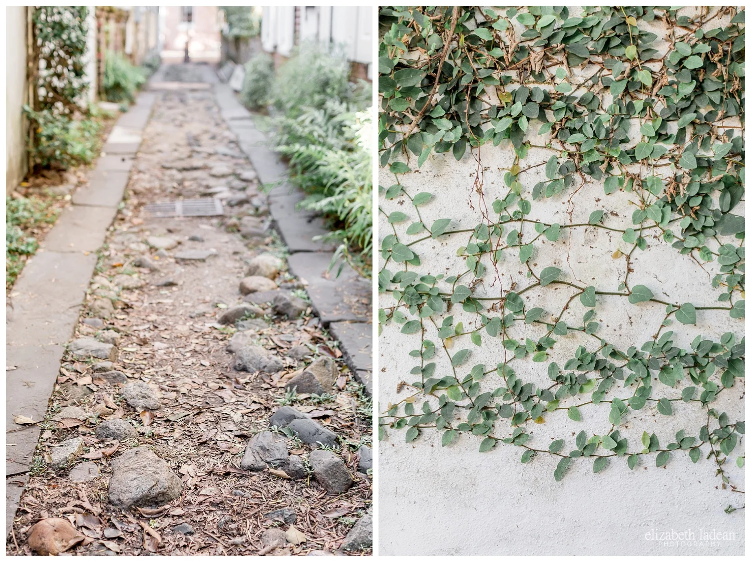 Exploring-Charleston-SC-on-foot-2017-Elizabeth-Ladean-Photography-photo-_3977.jpg