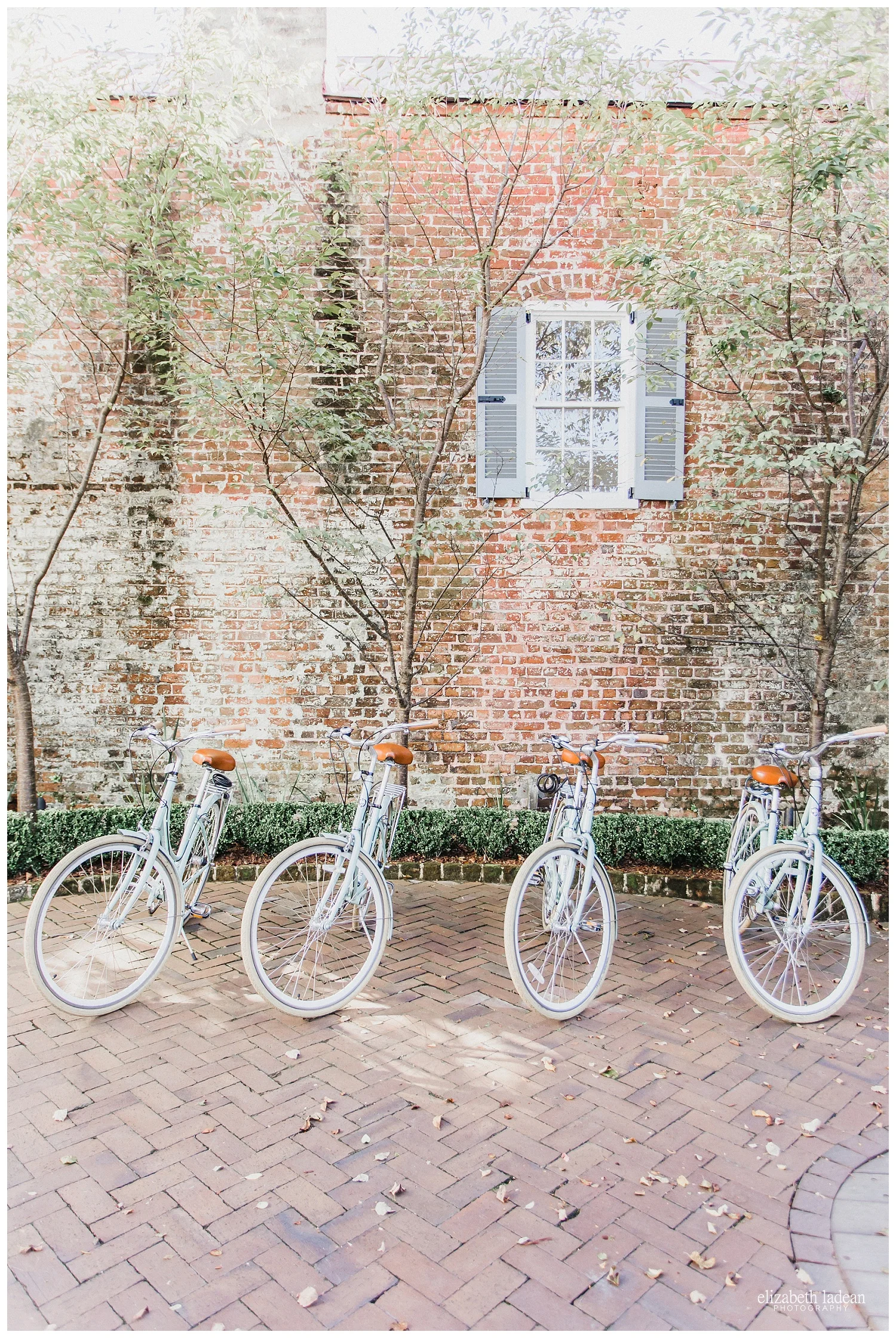 Exploring-Charleston-SC-on-foot-2017-Elizabeth-Ladean-Photography-photo-_4000.jpg