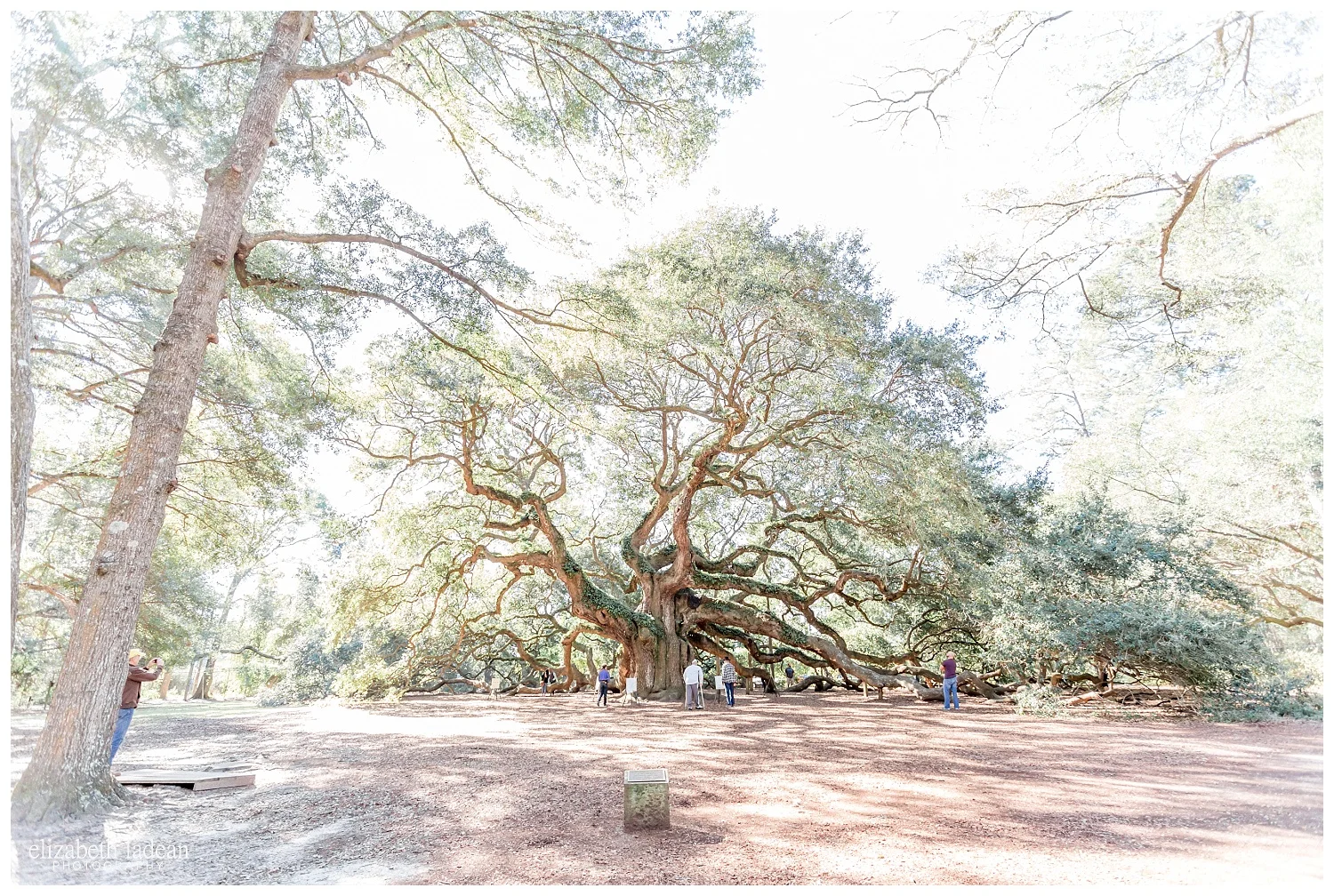 Exploring-Charleston-SC-on-foot-2017-Elizabeth-Ladean-Photography-photo-_4005.jpg